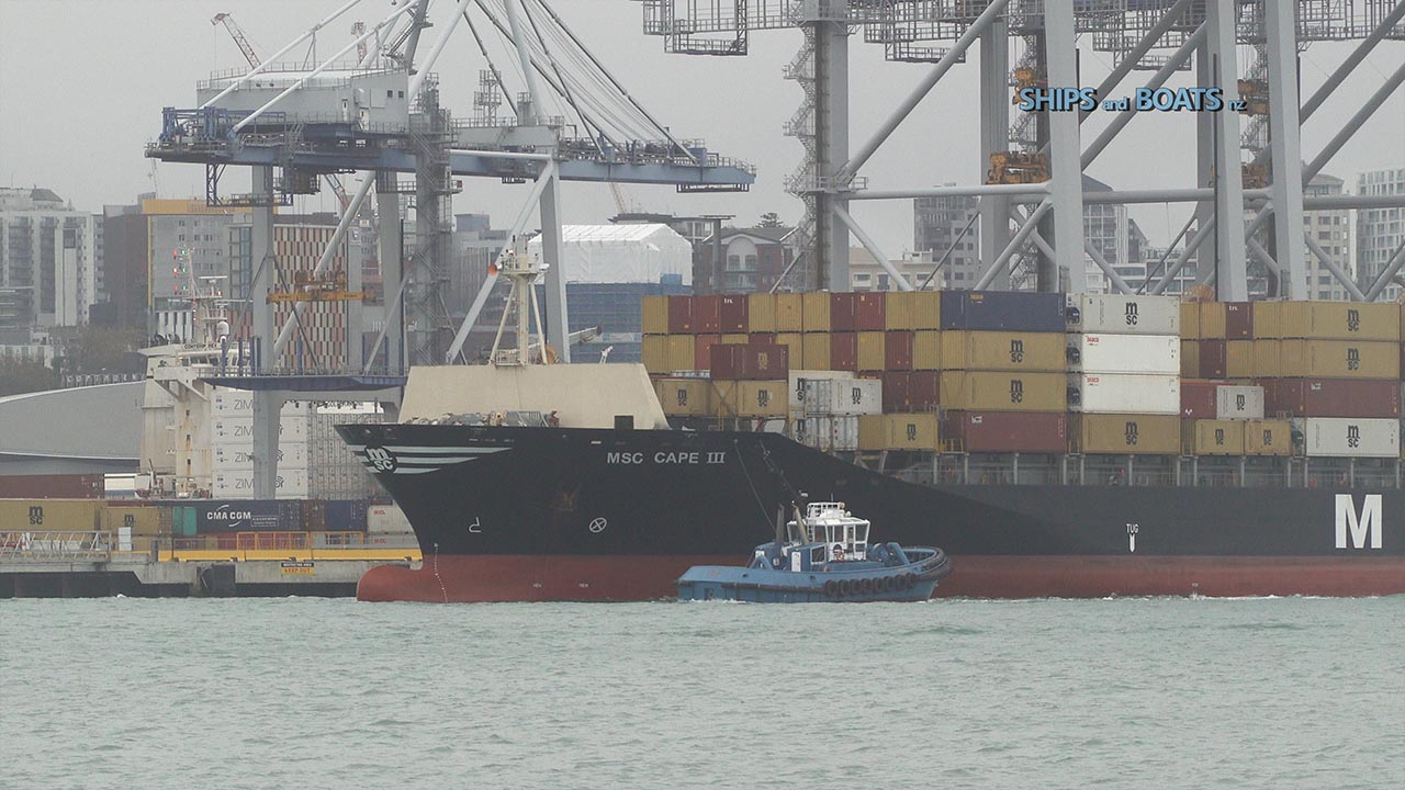 MSC Cape III